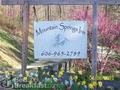 Mountain Springs Inn image 2