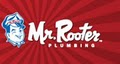 Mr. Rooter image 1