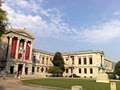Museum of Fine Arts image 5