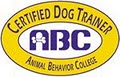 My 4-Ever Friend Dog Training logo