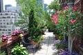 NYC Flowers, Plants, Orchids & Landscaping image 4