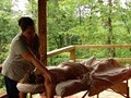 Natural Remedies Massage & Traveling Spa image 6