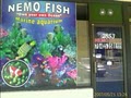 Nemo Fish logo