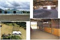 New Beginnings Equestrian Center image 2