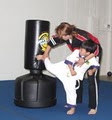 New Vision Martial Arts image 9