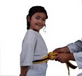 OMAA - Martial Arts * Tae Kwon Do * Hapkido image 8
