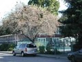 Oak Motel-Palo Alto image 10