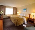 Ocean Sky Hotel & Resort image 4