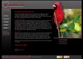 Ohio Web Pro Design image 3