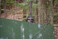 Orchard Hills Paintball image 4