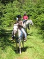 Oregon Horse Back Riding Guided Ride Rental image 4