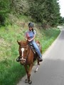 Oregon Horse Back Riding Guided Ride Rental image 8