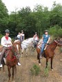 Oregon Horse Back Riding Guided Ride Rental logo