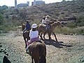 Papago Riding Stables image 4