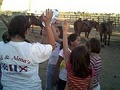 Papago Riding Stables image 5