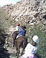 Papago Riding Stables image 1