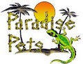 Paradise Pets image 2
