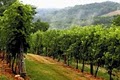 Park Farm Winery image 3