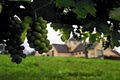 Park Farm Winery image 7