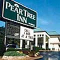 Pear Tree Inn Poplar Bluff image 2