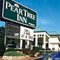 Pear Tree Inn Poplar Bluff image 4