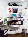 Pet Authority Animal Hospital image 7