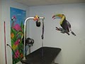 Pet Authority Animal Hospital image 8