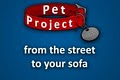 Pet Project Rescue image 1