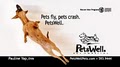 Petswell Pet Hospital image 10