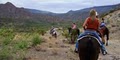 Phoenix Horseback Riding | Spur Cross Stables image 2