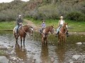 Phoenix Horseback Riding | Spur Cross Stables image 8