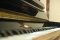 Piano Care image 2