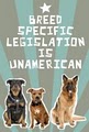Pit Bull Advocates Miami Coalition Against Breed Specific Legislation image 2