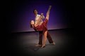 Plano Dance Theatre LLC image 1