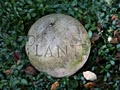 Planters, Inc. logo