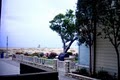 Premier Oceanfront Rentals image 4