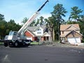 Premier Tree Service image 3
