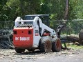Premier Tree Service image 5