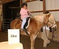 Prettty Pony Pastures image 3