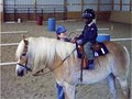 Prettty Pony Pastures image 5