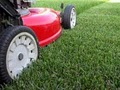 Professional Lawn Care image 1