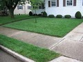 PureLawn - Organic Lawn Care image 2