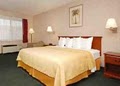 Quality Inn image 7