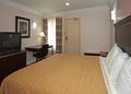 Quality inn & Suite image 6