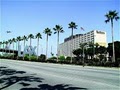 Radisson Los Angeles Airport Hotel image 1