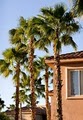 Residence Inn Palm Desert image 1