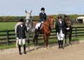 Rettger Dressage image 3