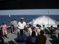 Rhode Island Fast Ferry image 2