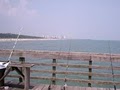 Rich's Pier Fishing Trips image 2