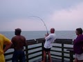 Rich's Pier Fishing Trips image 3